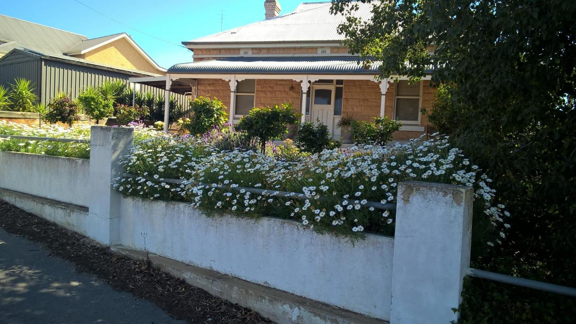 Book Keepers Cottage Waikerie Exterior photo